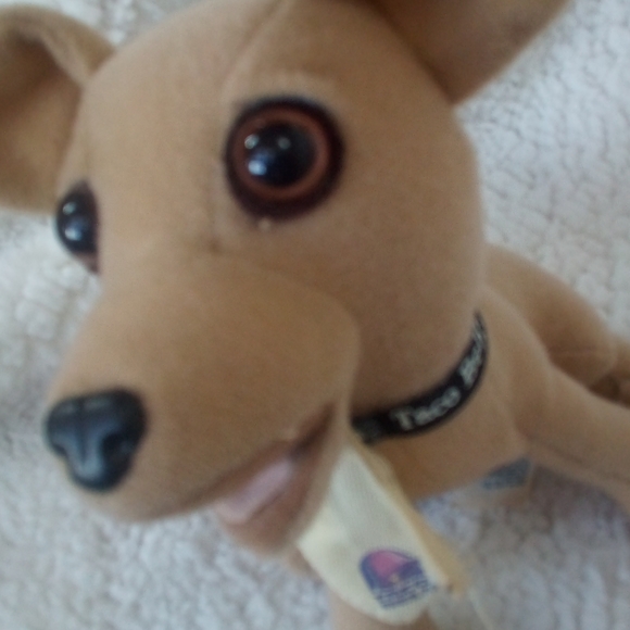 Taco Bell Dog - Picture 3 of 8
